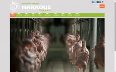 HARKOUS CHICKEN